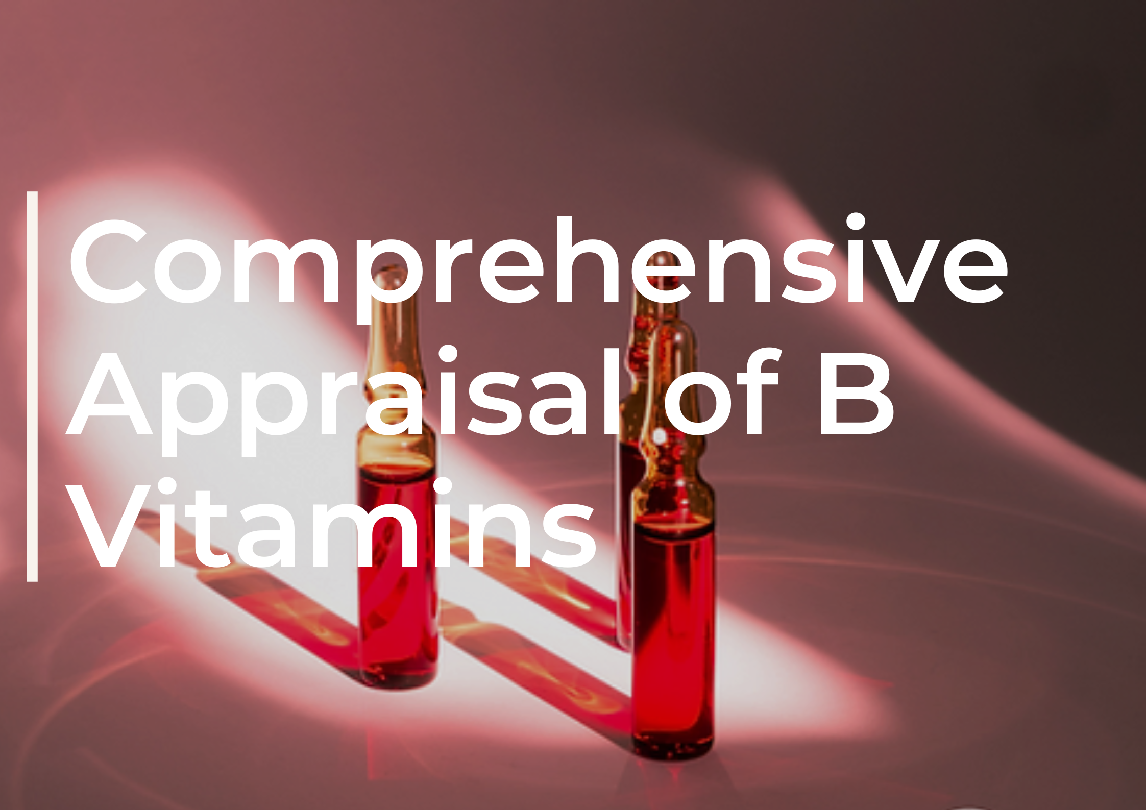 Comprehensive Appraisal of B Vitamins: Mechanisms of Action, Pathways of Function, and Impact on Health, Longevity, and Disease Prevention
